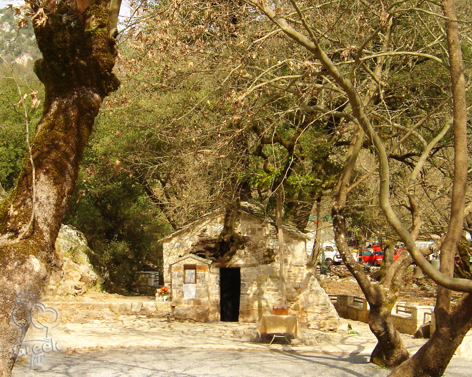 Αγία Θεοδώρα, το μικρό θαύμα των 17 δέντρων