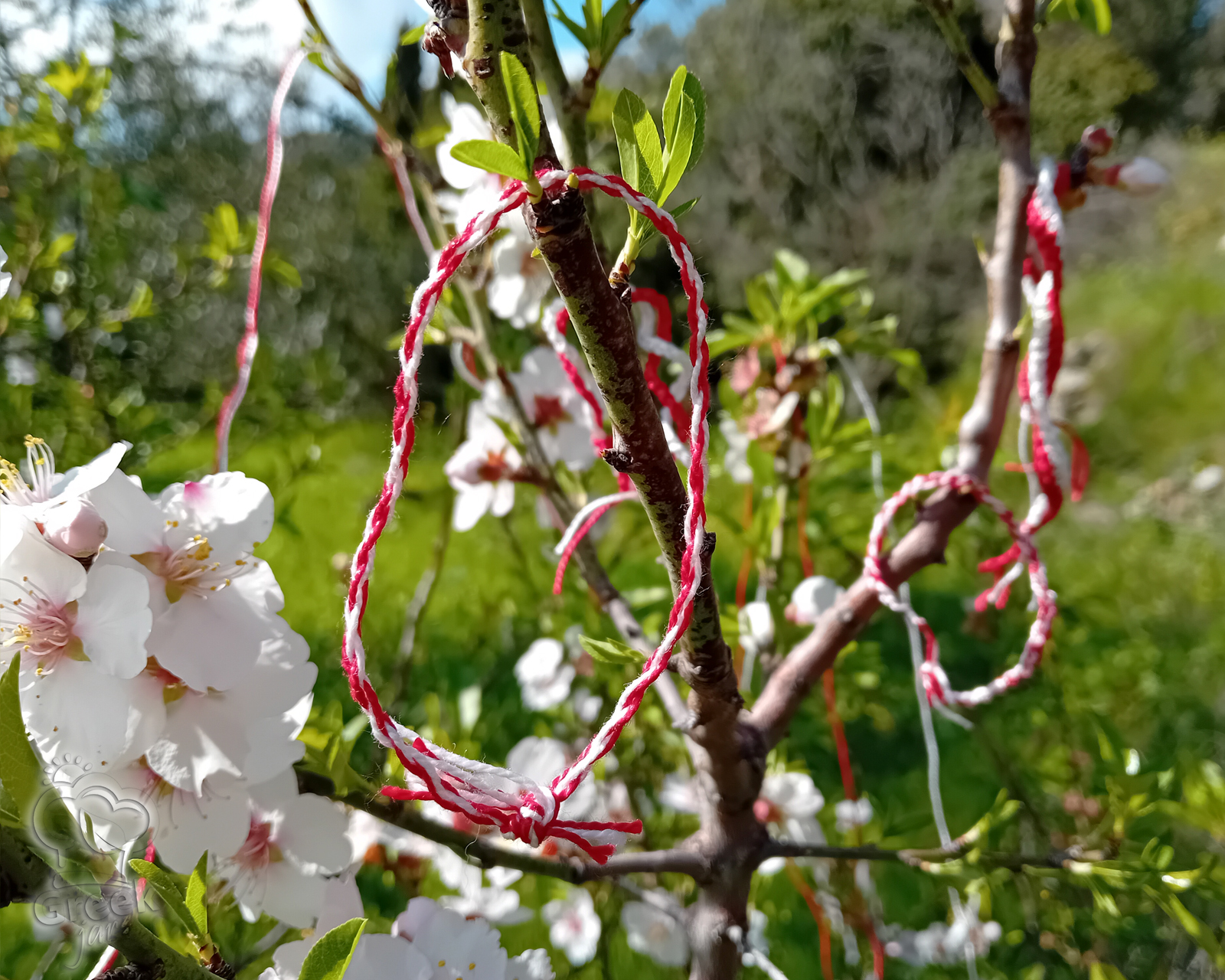 Martakia: The white-red bracelets of March welcome spring