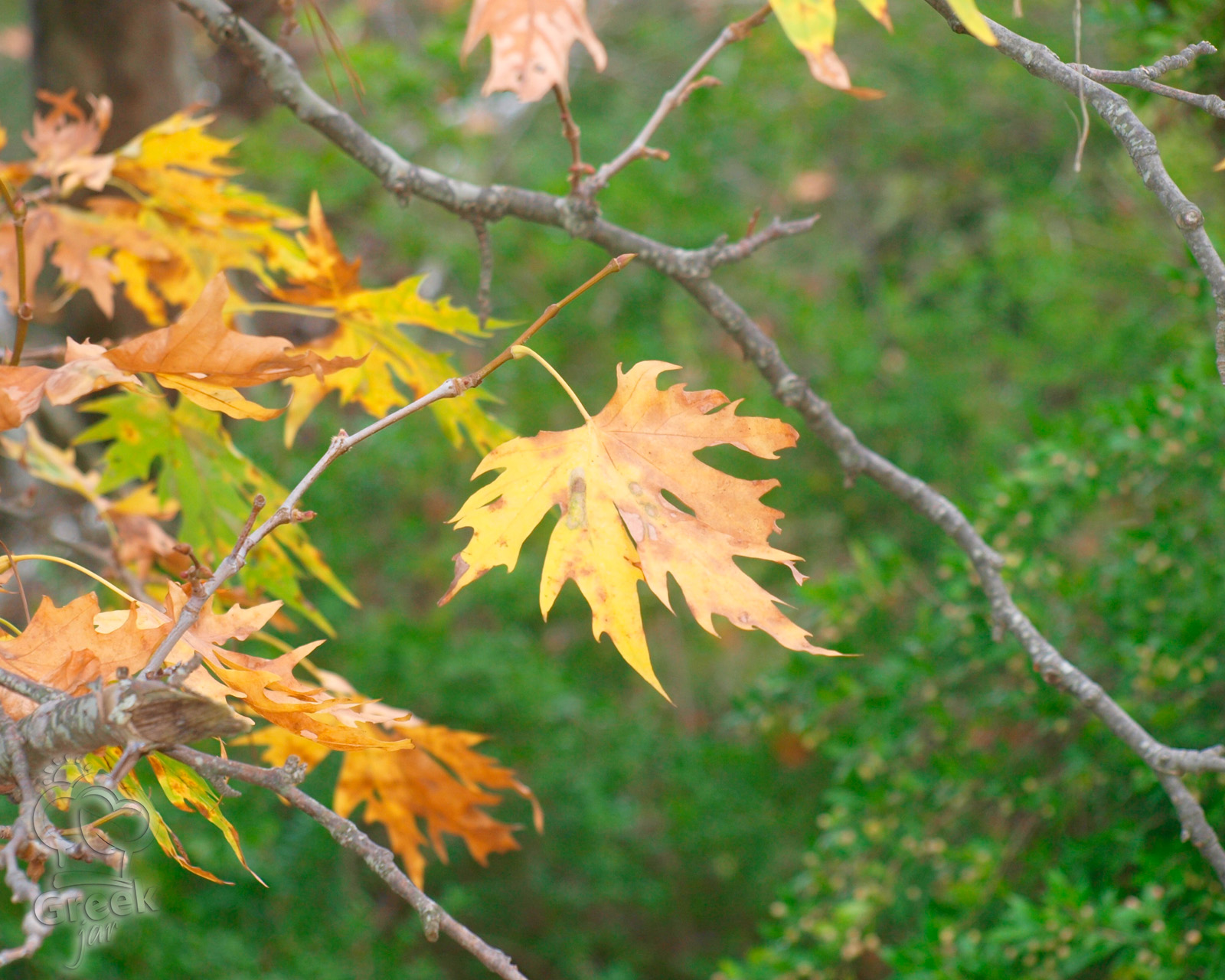 October, in the heart of autumn